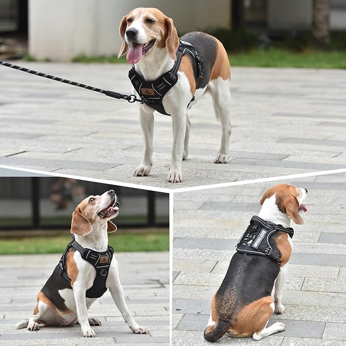 PET MARVEL Tactical Dog Harness for Medium Size, No Pull Military Dog Vest with Easy Control Handle, Molle Hoop & Loop, Adjustable Reflective Reinforced Stich for Walking Training, Black