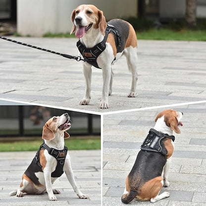 PET MARVEL Tactical Dog Harness for Medium Size, No Pull Military Dog Vest with Easy Control Handle, Molle Hoop & Loop, Adjustable Reflective Reinforced Stich for Walking Training, Black