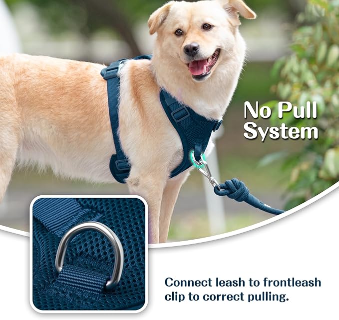 No Pull Dog Harness for Small Medium Large Dogs - Adjustable 2 Layer Mesh Dog Vest with Dual Clip, Escape Proof, Quick Release, Lightweight Breathable Mesh for Walking Hiking (Prussian Blue,XL)