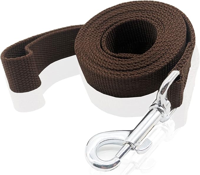 Nylon Dog Leash 12 Feet Long, Walking Training Dog Leashes for Medium Large Dogs(1" X 12 ft, Brown)