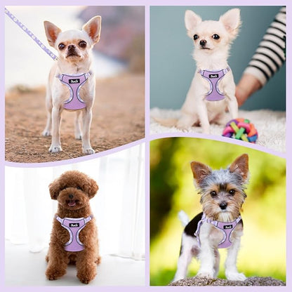 SlowTon Small Dog Harness - No Pull Dog Harness and Leash Set, Soft Mesh Lightweight Puppy Vest Harnesses, Adjustable Pet Harnesses for XXS XS Small Medium Easy Walk Hiking (Purple, S)