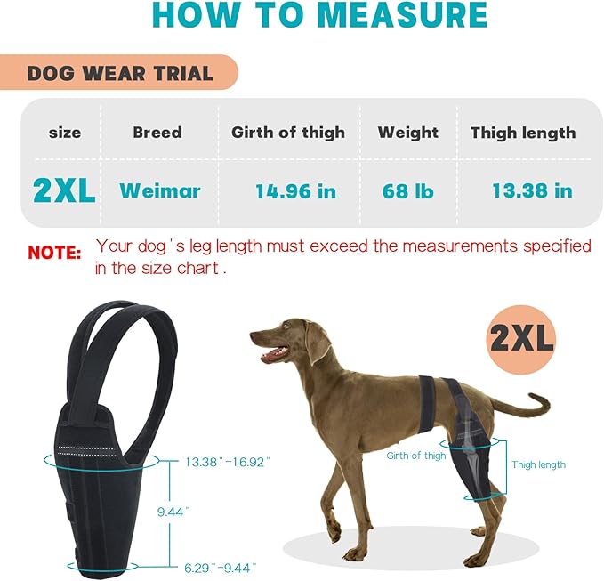 Dog Knee Brace for Torn ACL Hind Leg–Adjustable Support Dog Leg Brace for Back Leg with 2 Stabilizers, Hip Support to Reduces Pain Luxating Patella , Ligament Injuries, CCL (Black, Right Leg, 2XL)