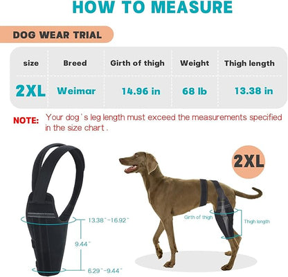 Dog Knee Brace for Torn ACL Hind Leg–Adjustable Support Dog Leg Brace for Back Leg with 2 Stabilizers, Hip Support to Reduces Pain Luxating Patella , Ligament Injuries, CCL (Black, Right Leg, 2XL)