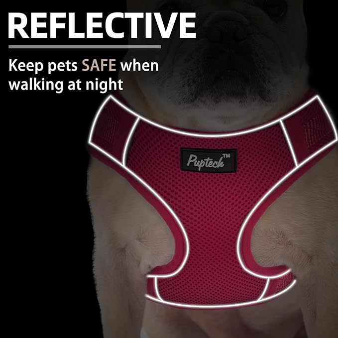PUPTECK Small Dog Harness and Leash Set, No Pull Adjustable Puppy Cat Harness, Reflective Soft Mesh Pet Vest Small Sized, Fuchsia, XS