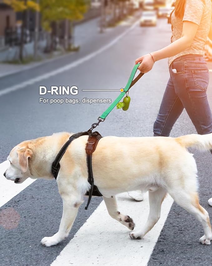Joytale Strong Short Dog Leash 1FT, 1.2 Inch Wide, Heavy Duty, Padded Handle for Traffic Control, Reflective Leash for Medium and Large Dogs Walking Training, Teal