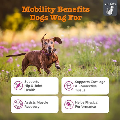 Zesty Paws Vet Strength Mobility Bites Beef & Bacon Flavor Hip & Joint Support Chews for Dogs with Glucosamine, Chondroitin, MSM, Hyaluronic Acid & Serrazimes - 90 Count