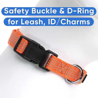 Pawtitas Reflective Dog Collar Adjustable Dog Collars for Large Dogs Puppy Collar Large Dog Collar Orange Dog Collar