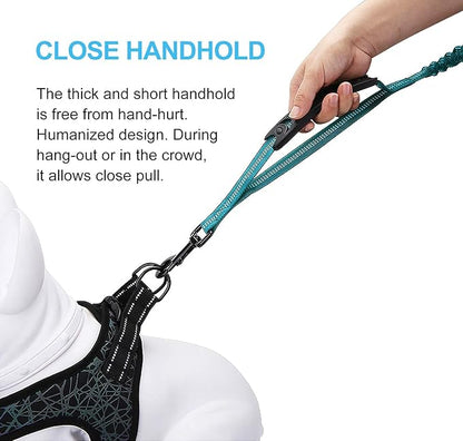 6FT Highly Reflective Heavy Duty Elastic Bungee Medium and Large Dog Leash Shock Absorbing with Comfortable Padded Handle and Traffic Handle Suitable for Training