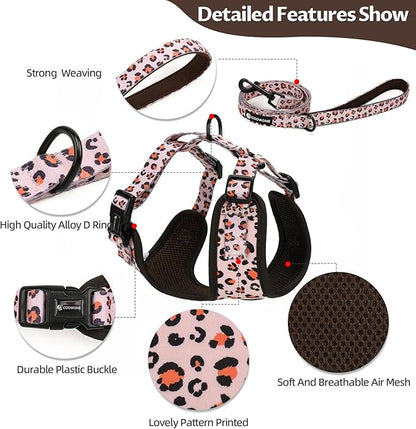Dog Harness and Leash Set, Adjustable Dog Harness, Dog Leash, No Pull No Choke Puppy Harnesses for Walking Training for Small Medium Pet