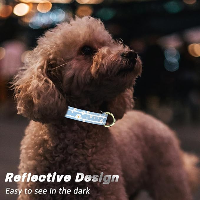 Reflective Dog Collar for Small Dogs, Cute Daisy Theme Adjustable Heavy-Duty Nylon Puppy Collar for Boy and Girl Female, Soft Pet Accessories with Quick Release Buckle, Neck 10-16", Blue