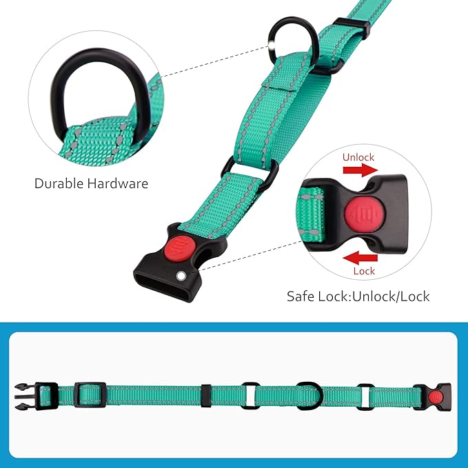 Martingale Dog Collar and Leash Set Martingale Collars for Dogs Reflective Martingale Collar for Small Medium Large Dogs(Mint Green&M)