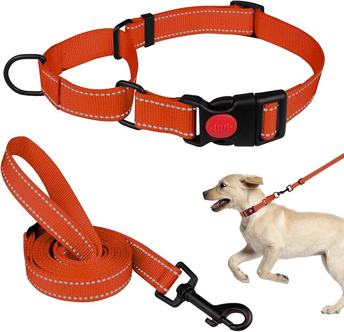 Martingale Dog Collar and Leash Set Martingale Collars for Dogs Reflective Martingale Collar for Small Medium Large Dogs(Orange&S)