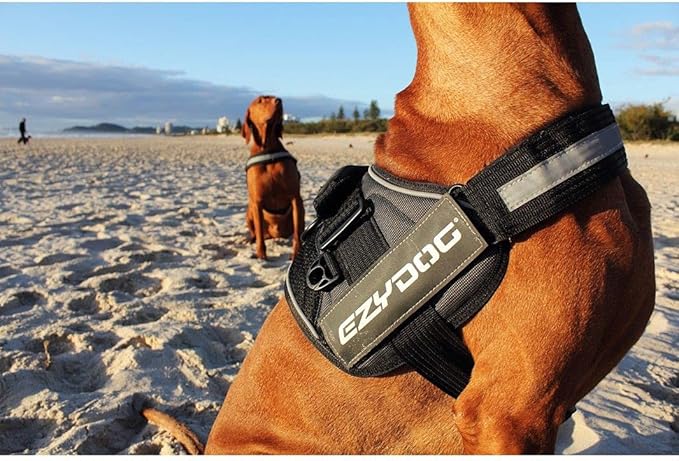 EzyDog Convert Dog Harness – Trail-Ready Rugged Harness for Walking, Hiking & Outdoors with Reflective Piping, Badge Attachment Points, Traffic Handle, & Comfort Lining (Small, Green Camo)