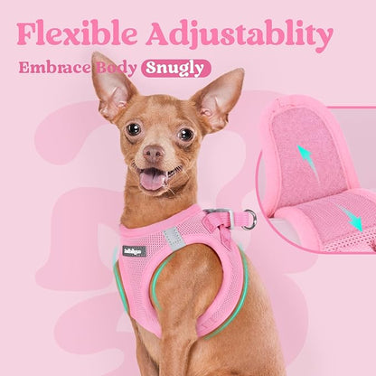 rabbitgoo Small Dog Harness, Step-in Soft Mesh Puppy Vest with Safety Buckle, Breathable Reflective Pet Harness for Small Medium Dogs, Light Pink XL