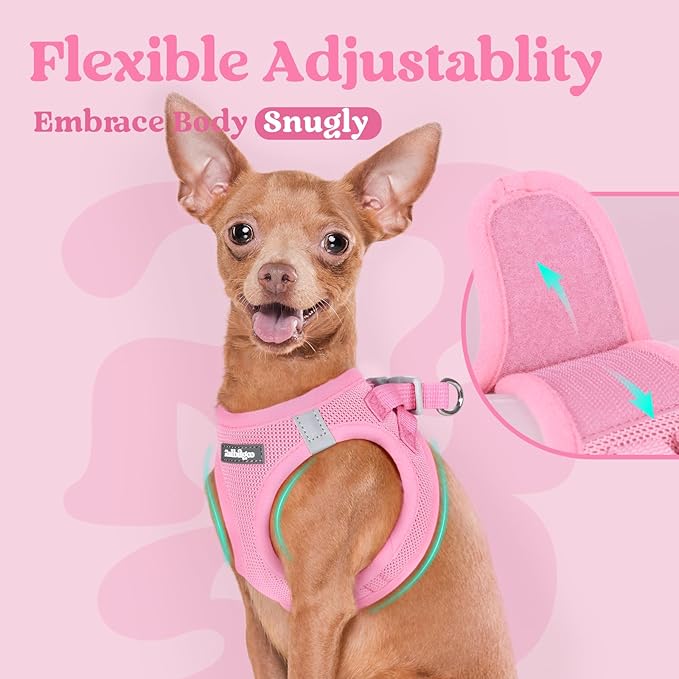 rabbitgoo Small Dog Harness, Step-in Soft Mesh Puppy Vest with Safety Buckle, Breathable Reflective Pet Harness for Small Sized Dogs, Light Pink M