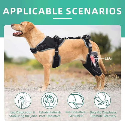 Dog Knee Brace for ACL/CCL Injuries,Torn Ligament,Luxating Patella - Rear Leg Support,Pain Relief,Joint Warmth,Black,Upgraded,Both Legs,Customized