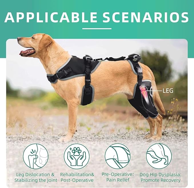 Dog Knee Brace for ACL/CCL Injuries,Torn Ligament,Luxating Patella - Rear Leg Support,Pain Relief,Joint Warmth,Black,Upgraded,Both Legs,Size:M