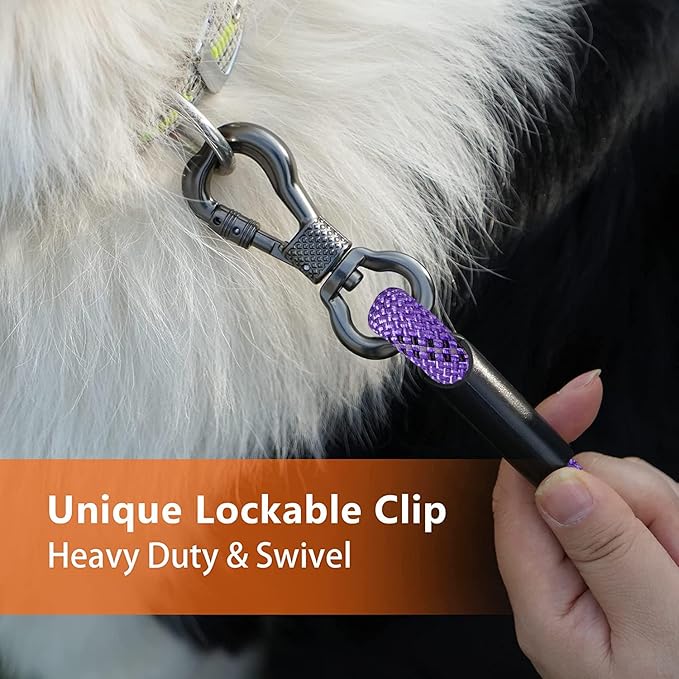 NTR Dog Rope Leash, 10FT Recall Training Lead, with 2 Swivel Hooks, Reflective Threads and Soft Rubber Handle, Puppy Leash for Walking, Hunting, Camping for Small Medium and Large Dogs-Purple
