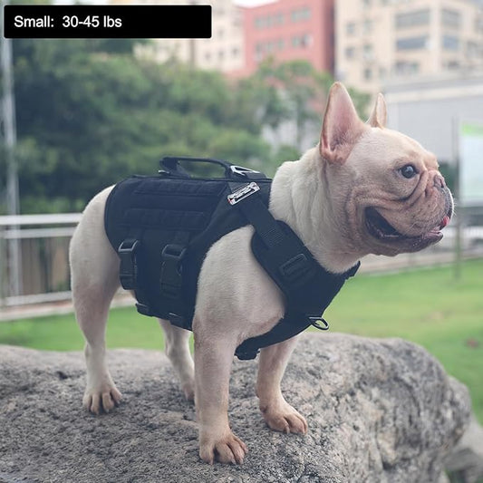 ICEFANG GN3 Tactical Dog Harness with 6X Buckle,Dog Molle Vest with Handle,3/4 Body Coverage,Hook and Loop Panel for ID Patch,No Pulling Front Clip (S (22"-27" Girth), Black)