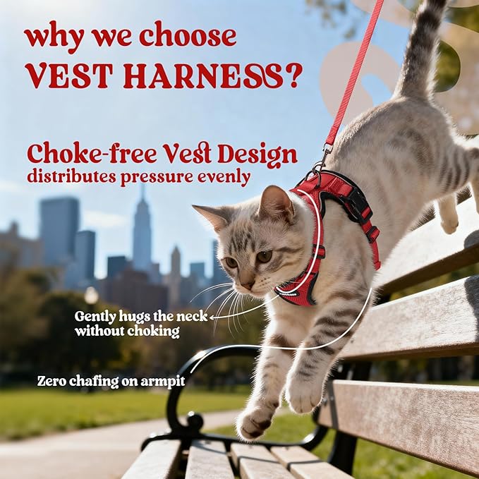 rabbitgoo Cat Harness and Leash for Walking, Escape Proof Soft Adjustable Vest Harnesses for Cats, Easy Control Breathable Reflective Strips Jacket, Red, S