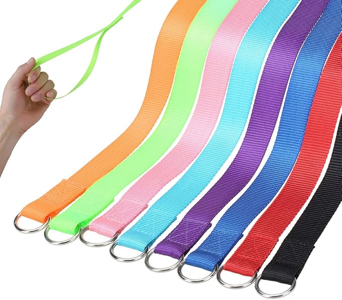 HOMIMP Slip Lead Dog Leash 6 FT- 8 PCS Bulk Colors Kennel Control Leashes for Small Medium Large Dogs Puppy Animal Rescue, Grooming - Heavy Duty Strong Nylon 6 Foot Long for Shelter, Vet, Training