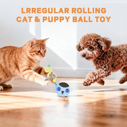 KiwiLove Cat Toys, Interactive Cat Toys for Indoor Cats, USB Rechargeable Electronic Smart Exercise Kitten Toy, Motion Chirping Activated Moving Ball (Blue)