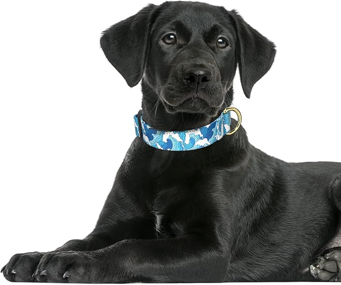 Rnivvi Dog Collar for Large Dogs, Cute Heavy Duty Adjustable Puppy Collar with Quick Release Buckle for Boy Girl & Female, Pet Accessories for Walking Running, L Length 1" Width, Japanese Style Wave