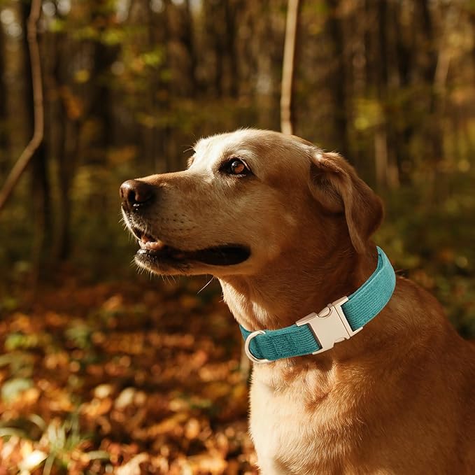 Ewinoom Soft Corduroy Dog Collar and Leash Set Adjustable Durable Dog Collars with Metal Buckle and Lead for Large Dogs,Dark Green