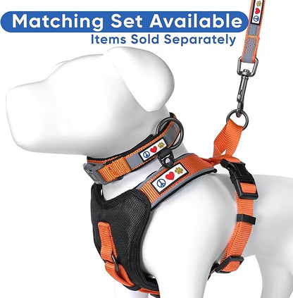 Pawtitas Orange Dog Leash 6 ft Custom ID Lead for Dogs & Puppies Reflective Comfortable Padded Handle Embroidered Name & Phone Number