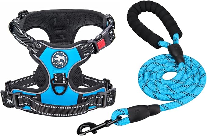 PoyPet Dog Harness and Leash Combo, Escape Proof No Pull Vest Harness, with 5 Feet Leash, Reflective Adjustable Soft Padded Pet Harness with Handle for Small to Large Dogs(Blue,S)
