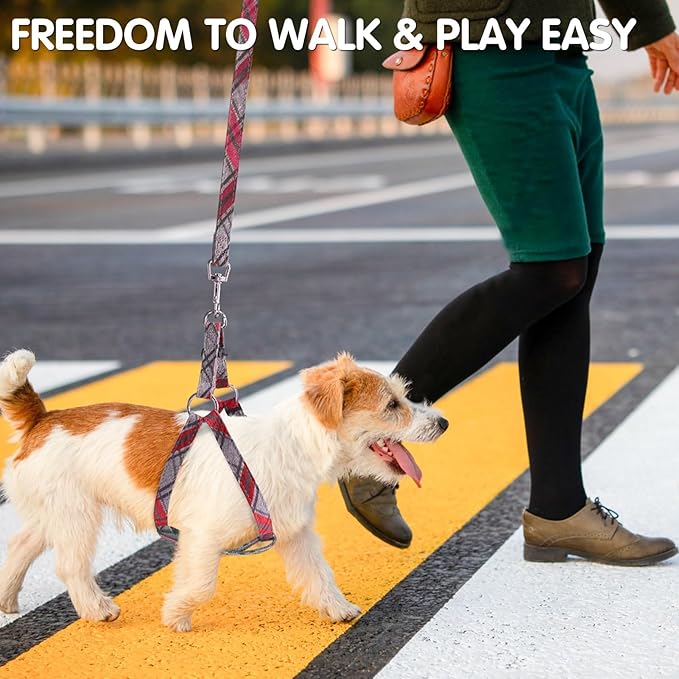 BINGPET Dog Harness Collar Leash Set,Adjustable No Pull Escape Proof Small Dog Harness,Classic Plaid Puppy Harness and Leash Set for Small Medium Large Dogs Training Easy Walk Running