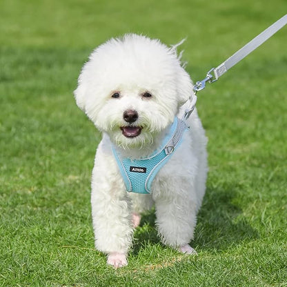 AIITLE Dog Harness, No-Pull Cat Harness with a Leash, Adjustable Reflective Dog Vest, Cat Harness Escape Proof, Outdoor Walking, Running,Training for Extra Small Dogs and House Cats Blue XXXS