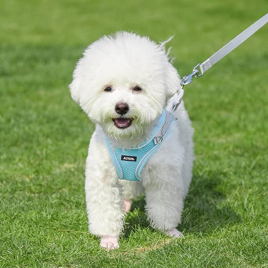 AIITLE Easy Walk Dog Harness and Leash Set - Pet Supply No Pull, Step in Adjustable Dog Harness with Padded Vest for All Weather, Dog Harness No Choke Over, Easy to Put on Medium Dogs Blue L