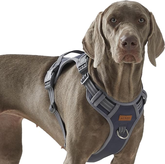 Dog Harness X-Large No Pull Easy Walker Escape Proof with Handle Reflective with 2 Leash Clips and 3 Buckles, No Rub No Choke, Newfoundland Alaska German Shepherd Mastiffs, XL