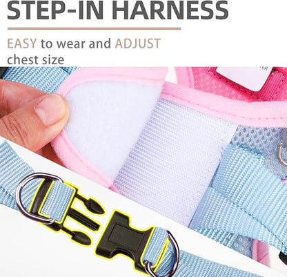 PUPTECK Dog Harness and Leash Set for Small Medium Dogs No Pull Step-in Soft Mesh Puppy Cat Vest Harnesses Reflective at Night, Pink & Blue, M