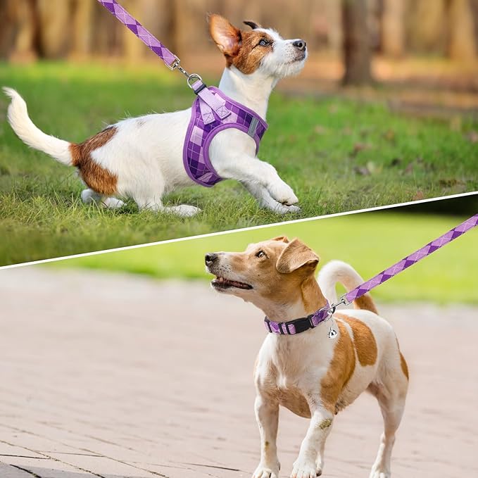 SCENEREAL Small Dog Harness and Leash Collar Set, Step in No Pull Soft Mesh Dog Harnesses for Small Medium Sized Dogs Puppy and Cats Outdoor Walking, No Chock Reflective Vest Harness, Purple Plaid XS