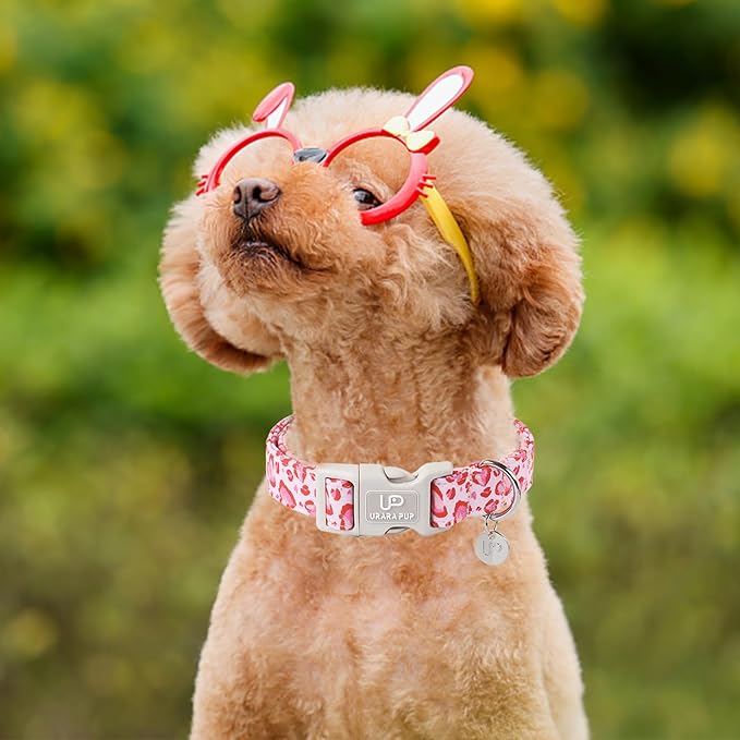 UP URARA PUP Valentine’s Day Dog Collar, Pink Heart Dog Collar with Quick Release, Valentine’s Day Gift Pet Collar for Puppy Girl Boy Dogs, Wedding Dog Collar