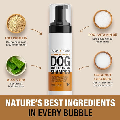 Dog Shampoo for Sensitive Skin - Gentle Natural Dog Wash for Odor Control - Oatmeal Shampoo for All Dogs & Puppies - 8fl oz (Oatmeal Honey)