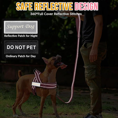 Lukovee No Pull Dog Harness & Leash Set - Heavy Duty Dog Vest Harness with Soft Padded for Medium Large Dogs, Adjustable Reflective Tactical Pet Harness for Easy Walk and Training (XL, PI)