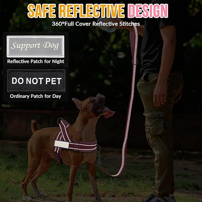 Lukovee No Pull Dog Harness & Leash Set - Heavy Duty Dog Vest Harness with Soft Padded for Medium Large Dogs, Adjustable Reflective Tactical Pet Harness for Easy Walk and Training (M, PI)