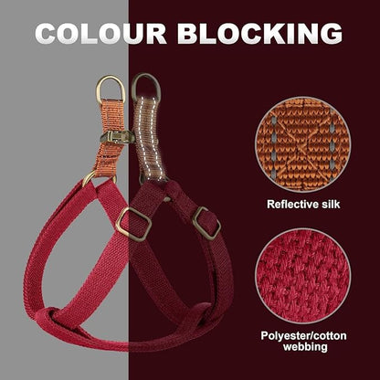 Didog Step in Dog Harness with Metal Buckles, Freedom Nylon Dog Halter Vests for Medium Dogs Easy Walking Training(M:Chest 19-28", Red)