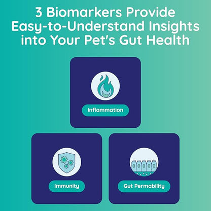 Basic Gut Test Kit – for Diarrhea, Itchy Skin, Mood Changes & Discomfort – Non-Invasive & Fast Results - Vet Trusted - Easy at-Home Stool Test - for Dogs & Cats