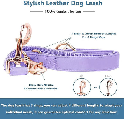Soft Leather Dog Collar and Leash (6.6') Set - Stylish Rose Gold Heavy Duty Metal Buckle, 4 Adjustable Lengths Leash for Small Medium Large Dogs - Comfortable & Easy to Clean (S, Light Purple)
