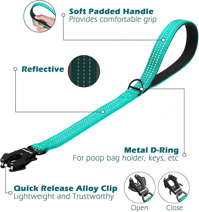 PetBonus Heavy Duty Short Dog Leash, 24 Inch Nylon Traffic Leash with Quick Release Clip, Comfortable Padded Handle, Reflective Training Lead for Medium Large Dogs (Turquoise, 24")