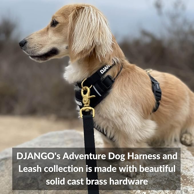 DJANGO Adventure Dog Leash – Strong, Comfortable, and Stylish Dog Leash with Solid Brass Hardware and Padded Handle - Designed for Outdoor Adventures and Everyday Use (Black)