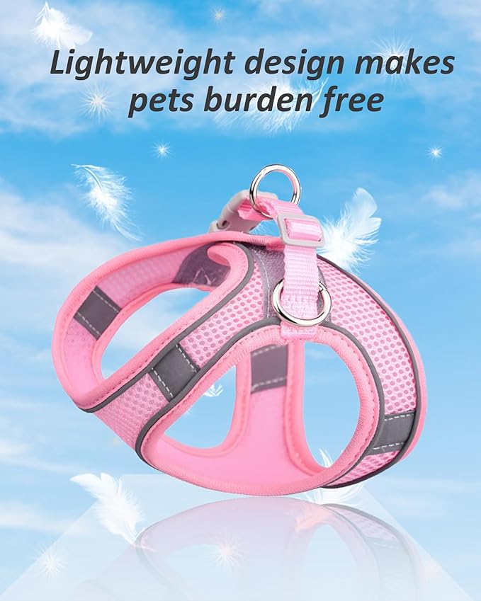 Solmoony Dog Harness for Small Medium Dogs No Pull, Puppy Harness and Leash Set, Puppy Harness, Step in Harness for Small Dogs,mesh Dog Harness. (Black, XS)