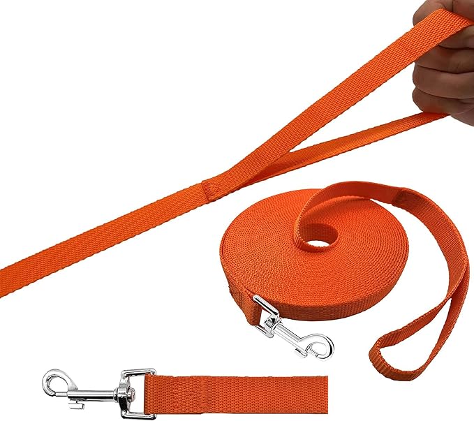 PETGOGO 15ft 20ft 30ft 40ft 50ft Long Dog/Puppy Lead Obedience Recall Training Dog Leashes for Small Medium Dogs Camping, Training, Play, or Backyard (Orange, 1" x 50FT)