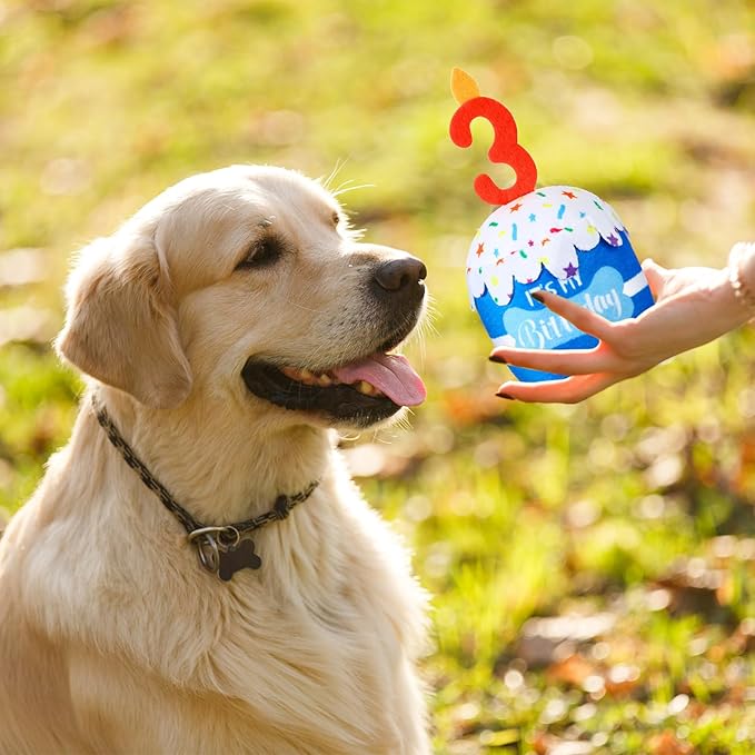 Dog Birthday Cake Toy Accessories for Girl Boy Gifts, Squeaky Plush Toy for Dog Birthday Party Decor Favor for Large, Medium and Small Dogs(3rd,Blue)