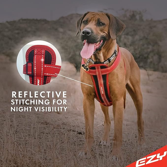 EzyDog Chest Plate No Pull Dog Harness – Escape Proof Harness with Reflective Stitching and Comfort Padding for Easy Walks, Training & Control - Car Restraint Included (X-Large, Gray)