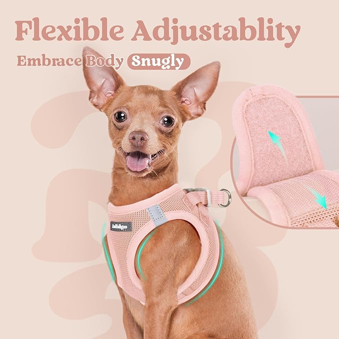 rabbitgoo Small Dog Harness, Step-in Soft Mesh Puppy Vest with Safety Buckle, Breathable Reflective Pet Harness for Small Sized Dogs, Pink M